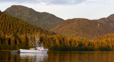 Alaska Seafood Resources 8
