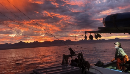 Commercial Fishing Photo Contest 10