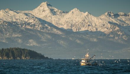 Commercial Fishing Photo Contest 30