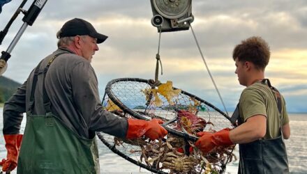 Commercial Fishing Photo Contest 5