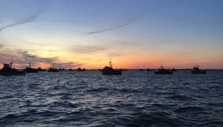 Commercial Fishing Photo Contest 32