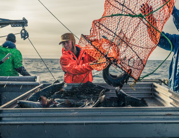 New Videos Highlight Alaska Seafood Sustainability Through Sablefish Innovation – Plus New B-Roll & Photos for Industry