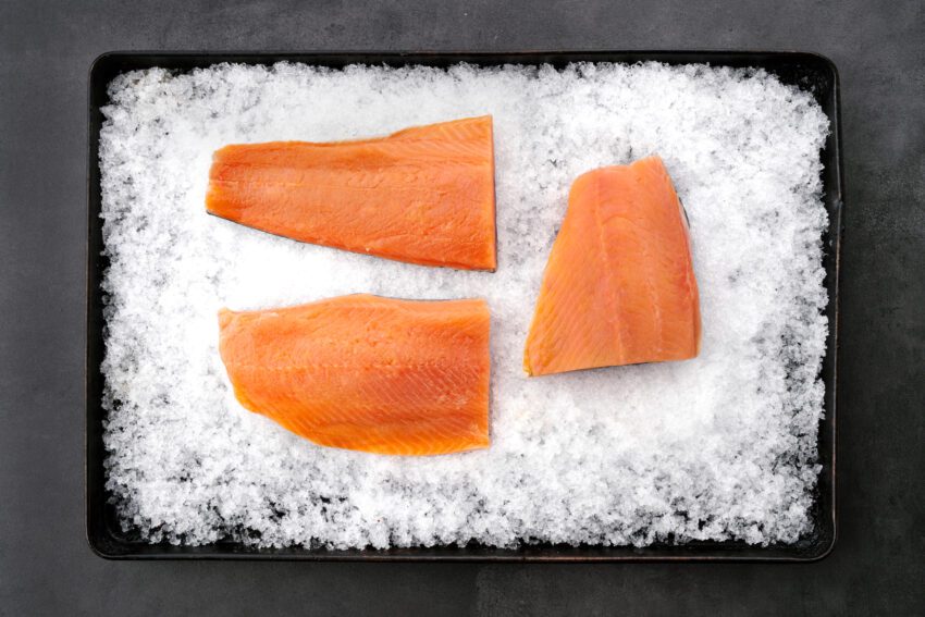 Three salmon fillets on a tray of ice.