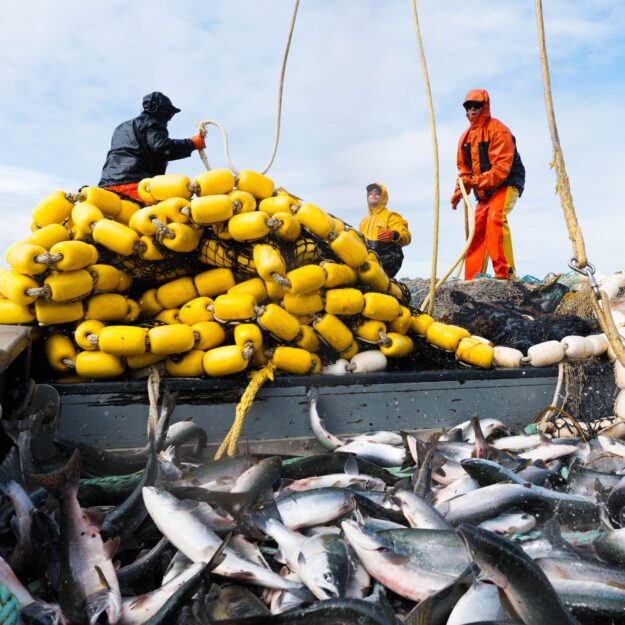 three fishermen in rain jackets standing near yellow floats from net above deck full of salmon