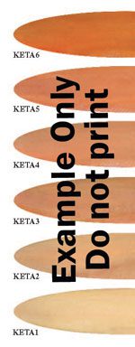 Salmon Meat Color Cards