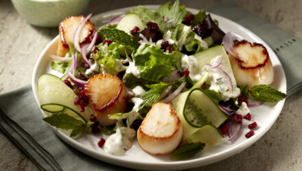 Seared Weathervane Scallops with Pomegranate and Cucumber Salad by Chef Patrick Hoogerhyde