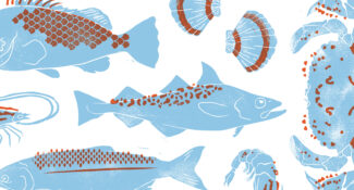 stamp art of seafood