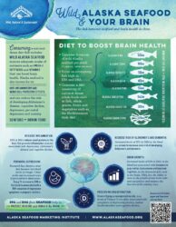 Brain Health fact sheet thumbnail