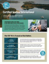 About CSI Fact Sheet