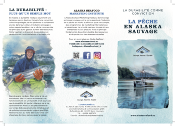 Sustainability Flyer (French)