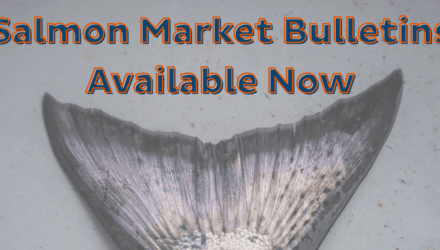 A fish tail with text that reads Salmon Market Bulletins Available Now