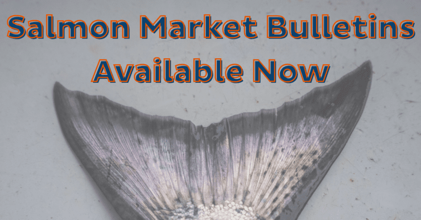 A fish tail with text that reads Salmon Market Bulletins Available Now