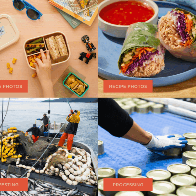 four images in sequential boxes displaying pink salmon recipes, harvesting and processing of cans
