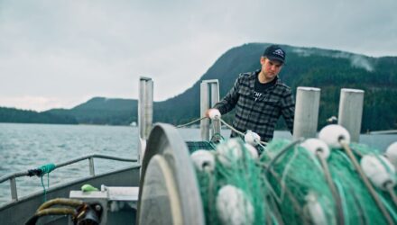 Northern Lights: Alaska fisheries adapting to stay ahead of climate change