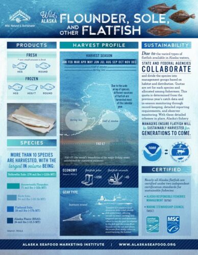 Flatfish Fact Sheet