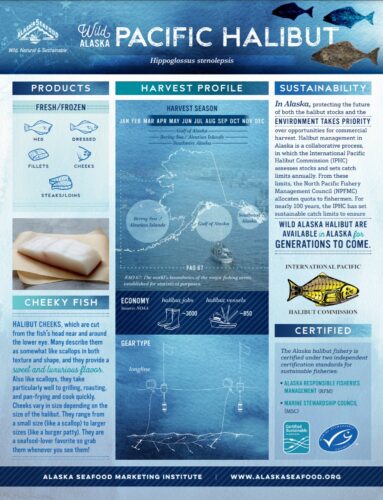 Pacific Halibut Fact Sheet