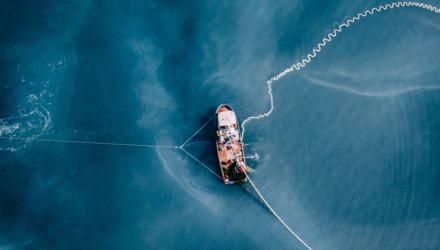 aerial view of fishing seiner