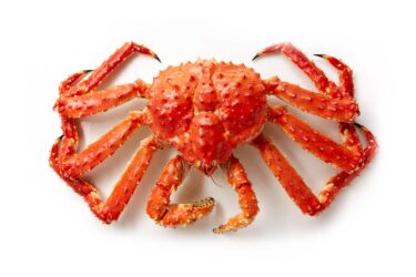 King Crab 2