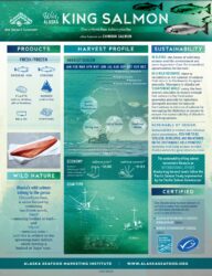 King Salmon Fact Sheet