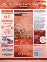 Opilio Snow Crab Fact Sheet