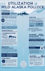 Wild Alaska Seafood & Immunity 2