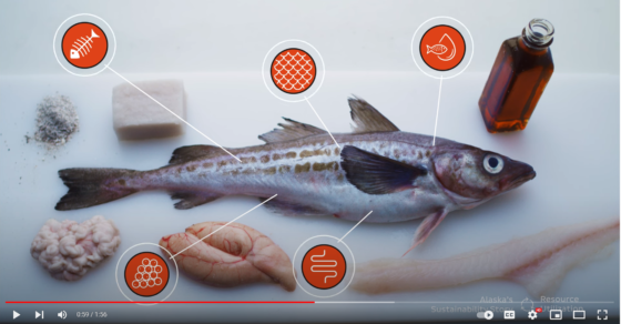 Alaska Seafood's Sustainability Story in Video: Resource Utilization