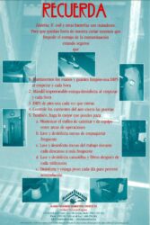 ASMI Roe Handling Guide (Spanish)