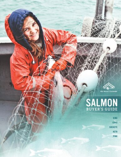 Alaska Salmon Buyer’s Guide