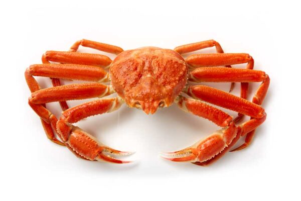 Snow Crab  Alaska Seafood Marketing Institute