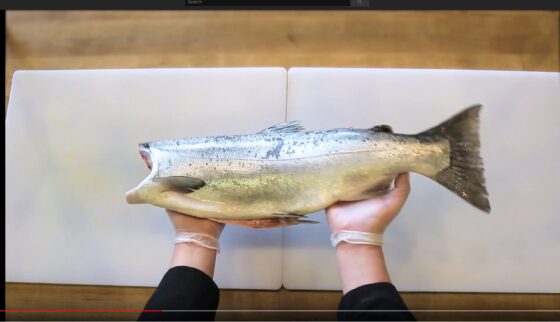 How to Thaw & Fillet a Wild Alaska Salmon